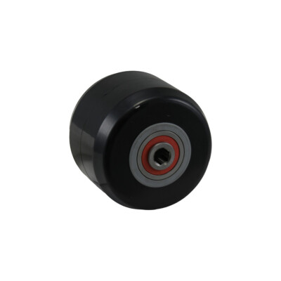 Roller w/Bearings